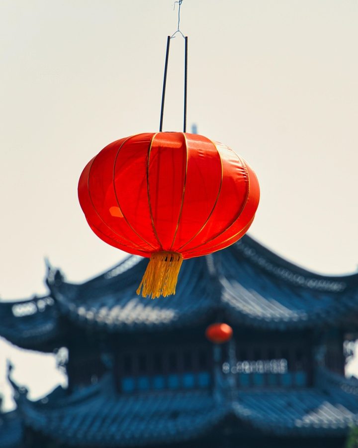 一部手机竖屏展示不良研究所导航 App 首页，森林绿顶栏下排列着五个分类频道卡片，背景是米色桌面与一盆绿植